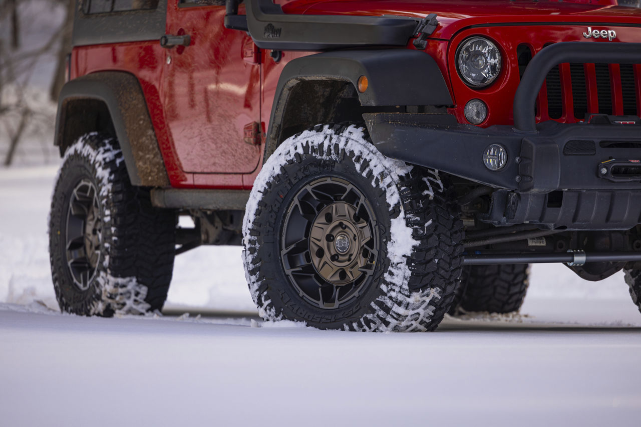 2014 Jeep Wrangler - Black Rhino GUARD - Bronze | Black Rhino